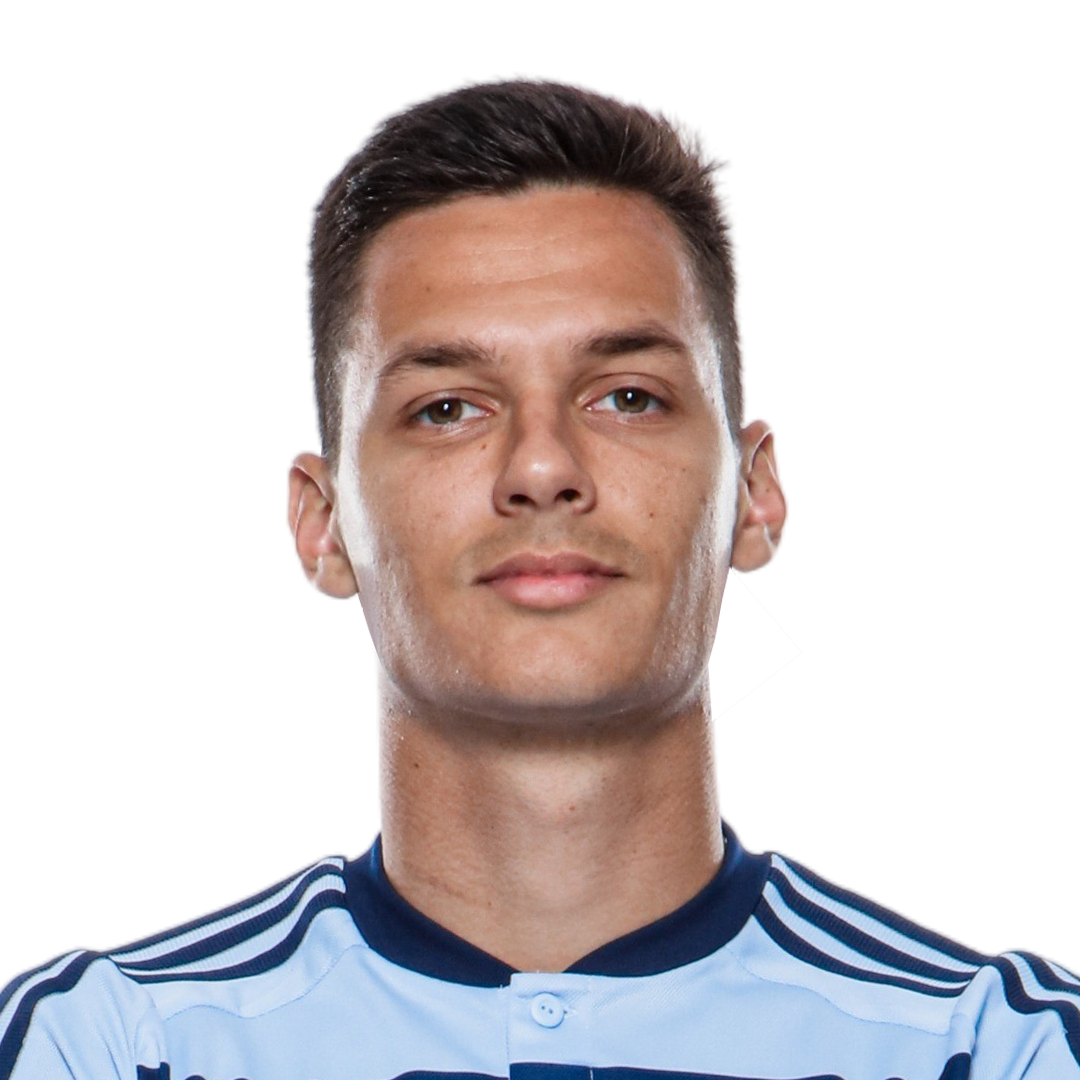 Player Representative